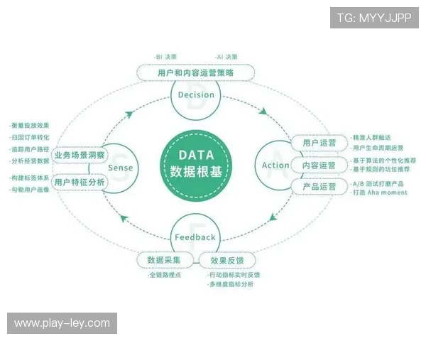 用户运营团队数据素养普遍提升，分析能力支撑决策